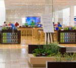 Microsoft Retail Bellevue Square Store Grand Opening Announced  